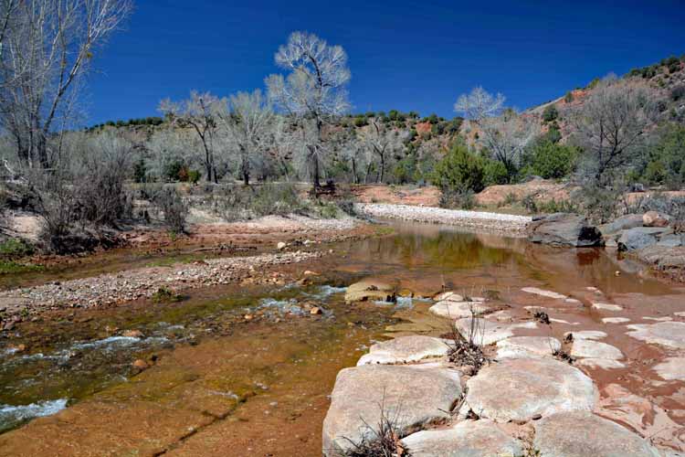 creek with running water